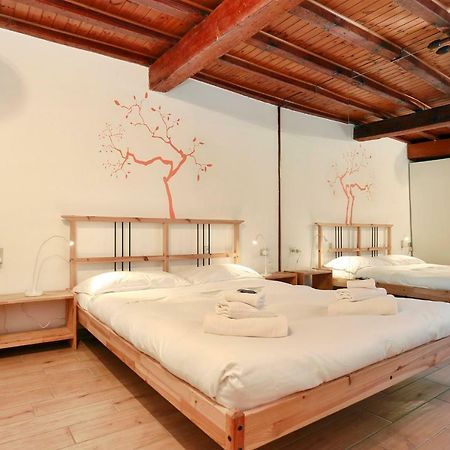 San Zanobi Apartment Firenze Eksteriør bilde